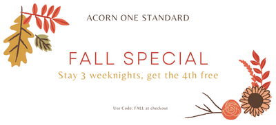 Fall Special Banner