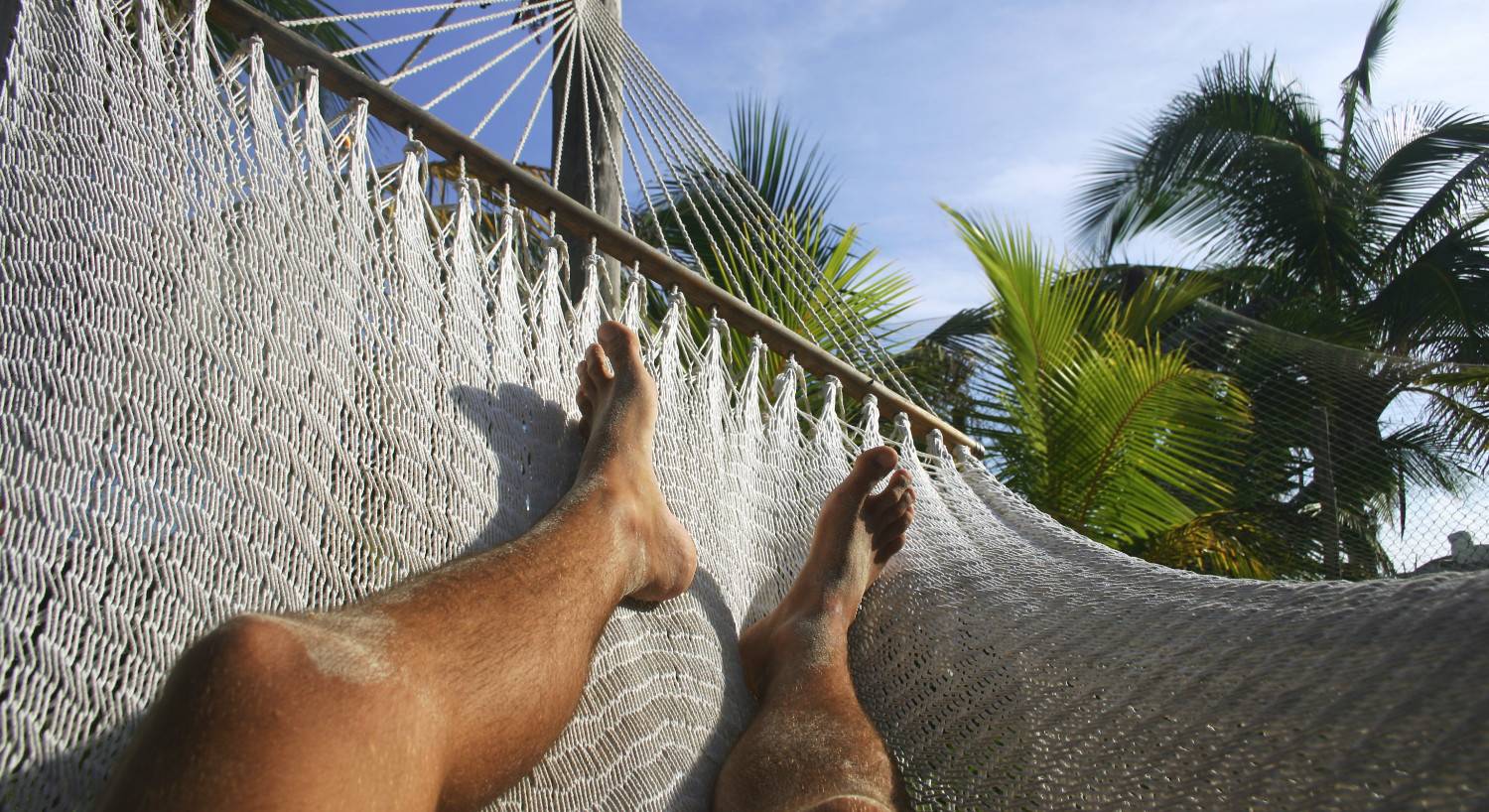 A man's tanned legs relax on a rope hammock under palm trees. 